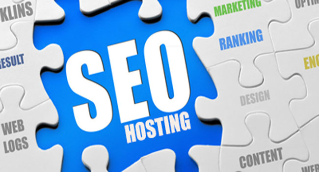 Seohosting Nedir ? Ne İşe Yarar?