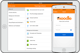 Canlı Ders Sistemi Moodle Siteleri İçin Hangi Sunucuyu Tercih Etmelisiniz ?